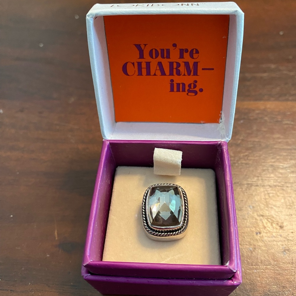 Lori Bonn Sterling Silver platinum crystal stone slide charm
